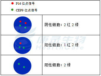 中国·拉斯维加斯(3499·官方认证)网站-Officialwebsite