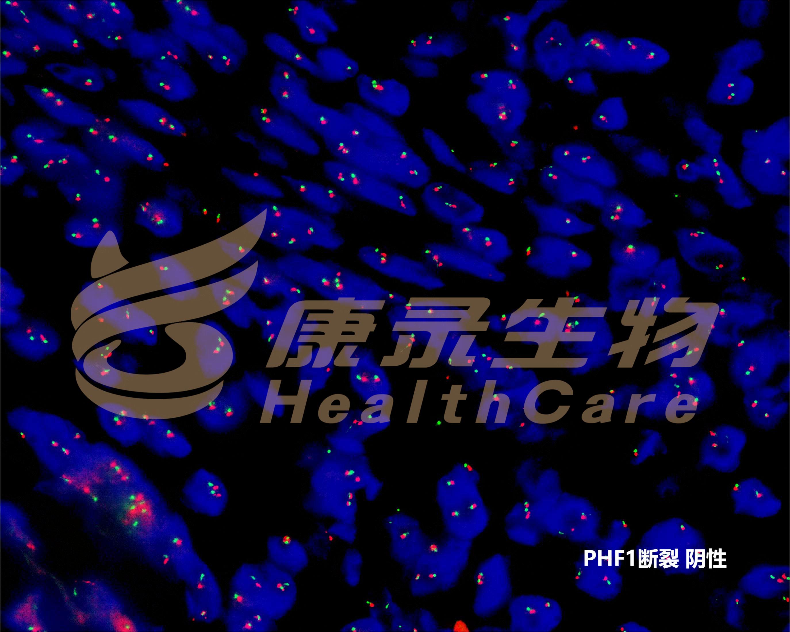 中国·拉斯维加斯(3499·官方认证)网站-Officialwebsite