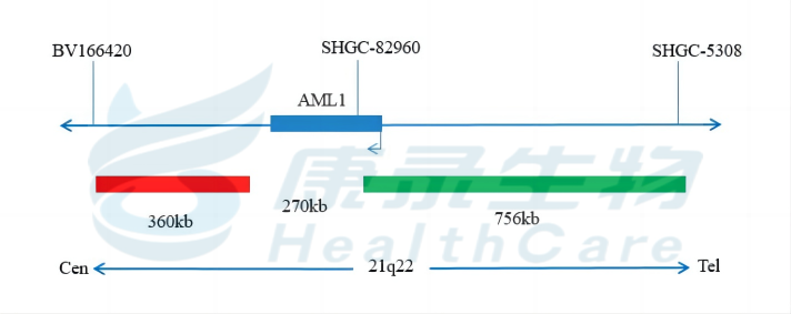 中国·拉斯维加斯(3499·官方认证)网站-Officialwebsite