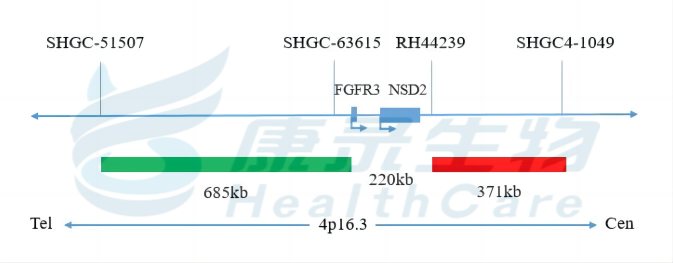 中国·拉斯维加斯(3499·官方认证)网站-Officialwebsite