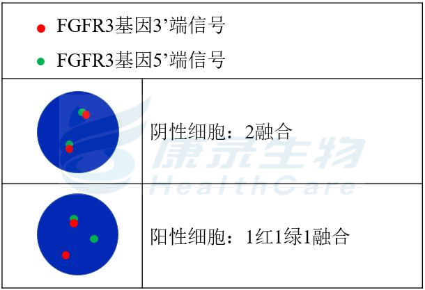 中国·拉斯维加斯(3499·官方认证)网站-Officialwebsite