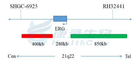 中国·拉斯维加斯(3499·官方认证)网站-Officialwebsite
