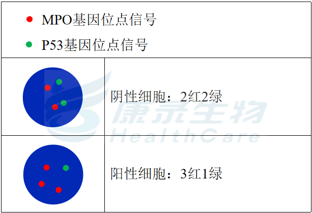 中国·拉斯维加斯(3499·官方认证)网站-Officialwebsite