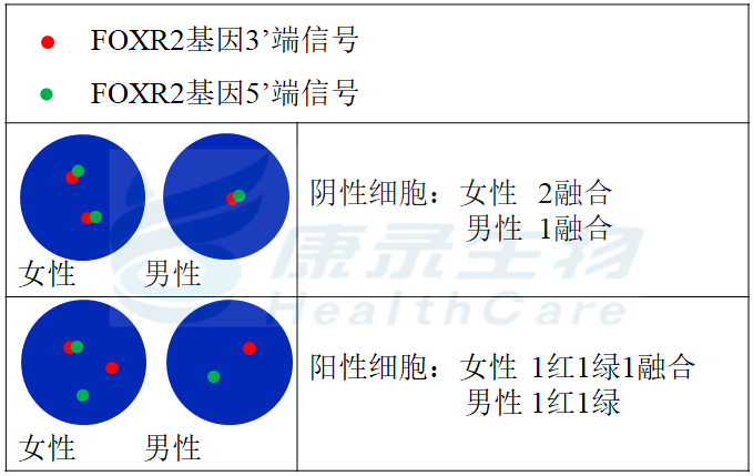 中国·拉斯维加斯(3499·官方认证)网站-Officialwebsite
