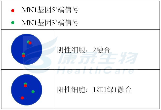中国·拉斯维加斯(3499·官方认证)网站-Officialwebsite