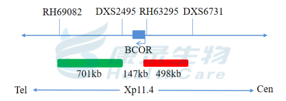 中国·拉斯维加斯(3499·官方认证)网站-Officialwebsite