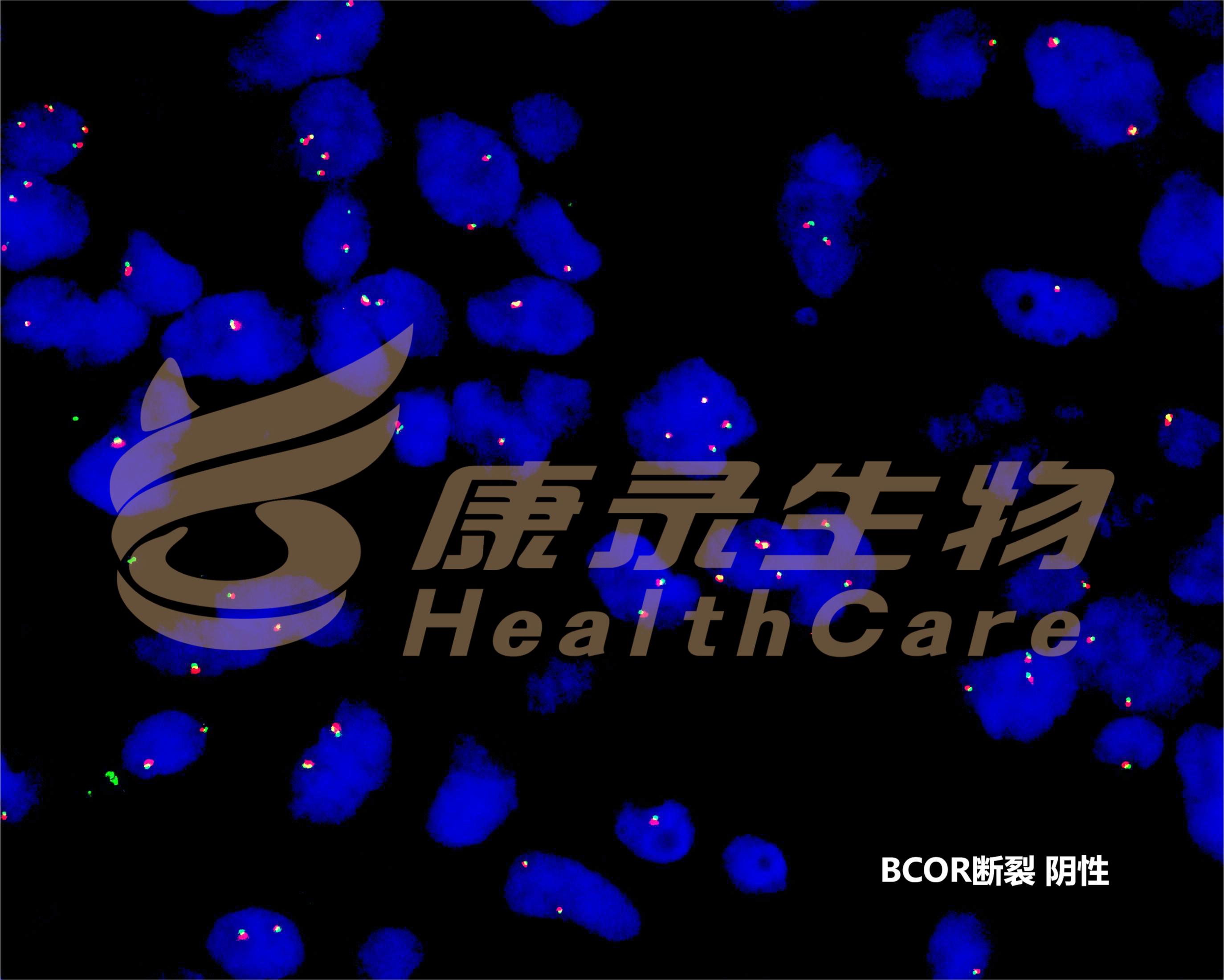 中国·拉斯维加斯(3499·官方认证)网站-Officialwebsite