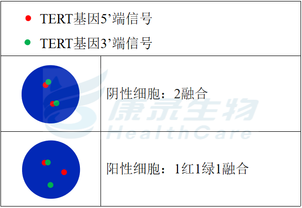 中国·拉斯维加斯(3499·官方认证)网站-Officialwebsite