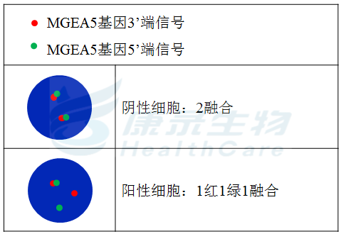 中国·拉斯维加斯(3499·官方认证)网站-Officialwebsite