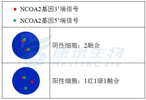 中国·拉斯维加斯(3499·官方认证)网站-Officialwebsite