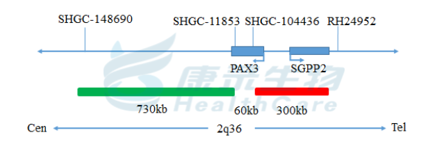 中国·拉斯维加斯(3499·官方认证)网站-Officialwebsite