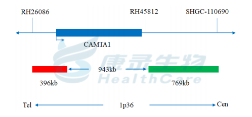 中国·拉斯维加斯(3499·官方认证)网站-Officialwebsite