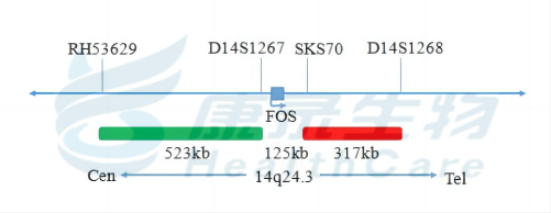 中国·拉斯维加斯(3499·官方认证)网站-Officialwebsite