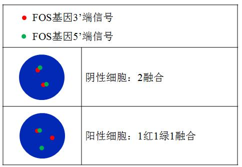 中国·拉斯维加斯(3499·官方认证)网站-Officialwebsite