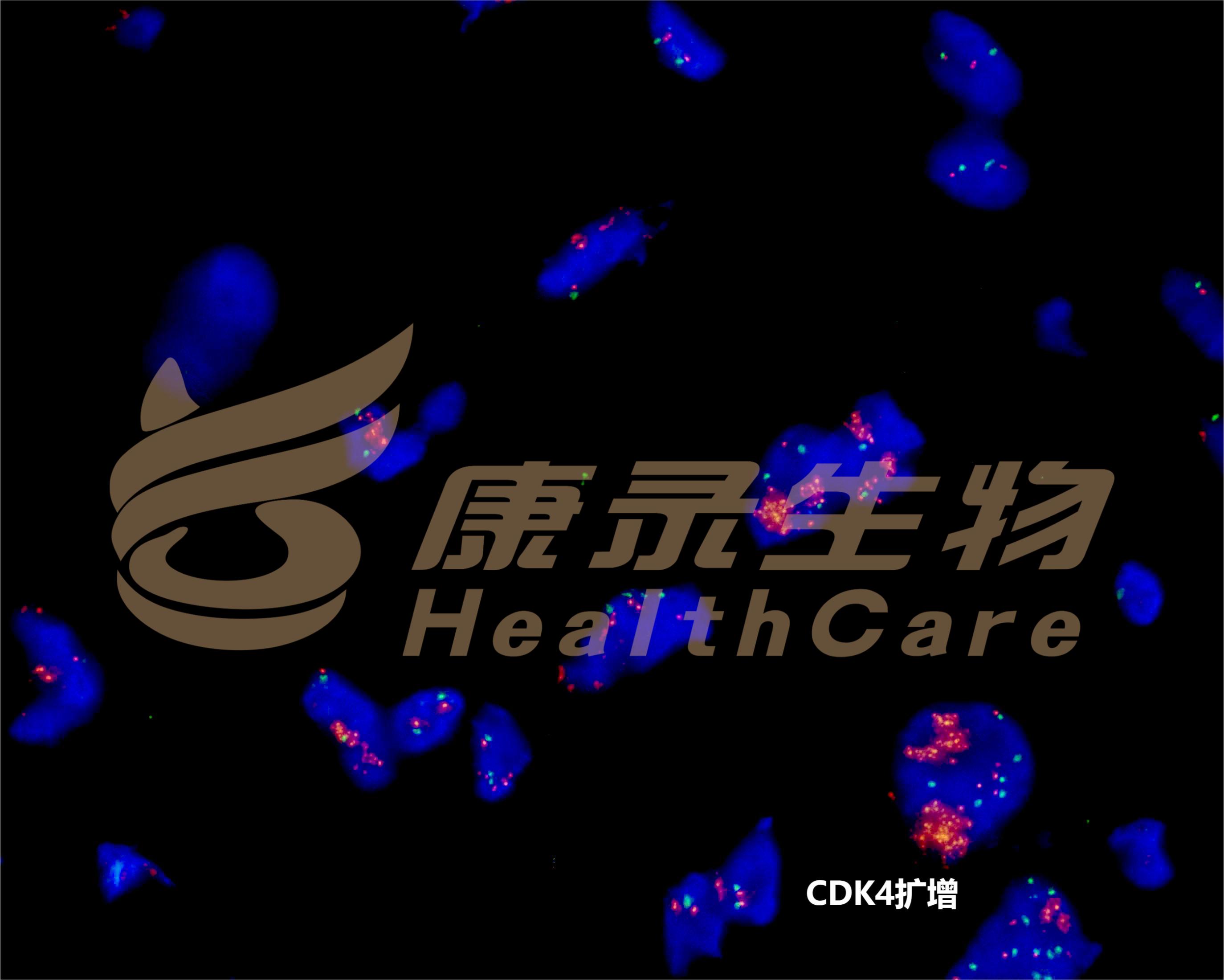 中国·拉斯维加斯(3499·官方认证)网站-Officialwebsite