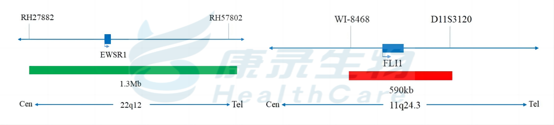 中国·拉斯维加斯(3499·官方认证)网站-Officialwebsite