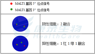 中国·拉斯维加斯(3499·官方认证)网站-Officialwebsite