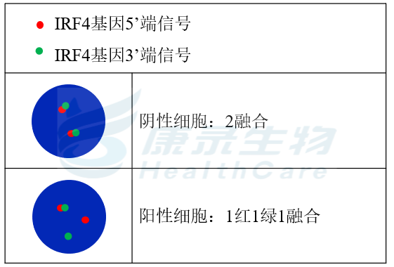 中国·拉斯维加斯(3499·官方认证)网站-Officialwebsite