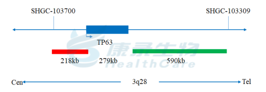 中国·拉斯维加斯(3499·官方认证)网站-Officialwebsite