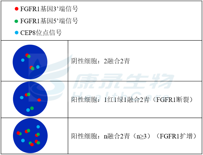 中国·拉斯维加斯(3499·官方认证)网站-Officialwebsite