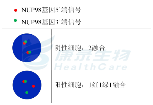 中国·拉斯维加斯(3499·官方认证)网站-Officialwebsite