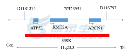 中国·拉斯维加斯(3499·官方认证)网站-Officialwebsite