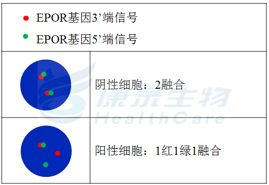 中国·拉斯维加斯(3499·官方认证)网站-Officialwebsite