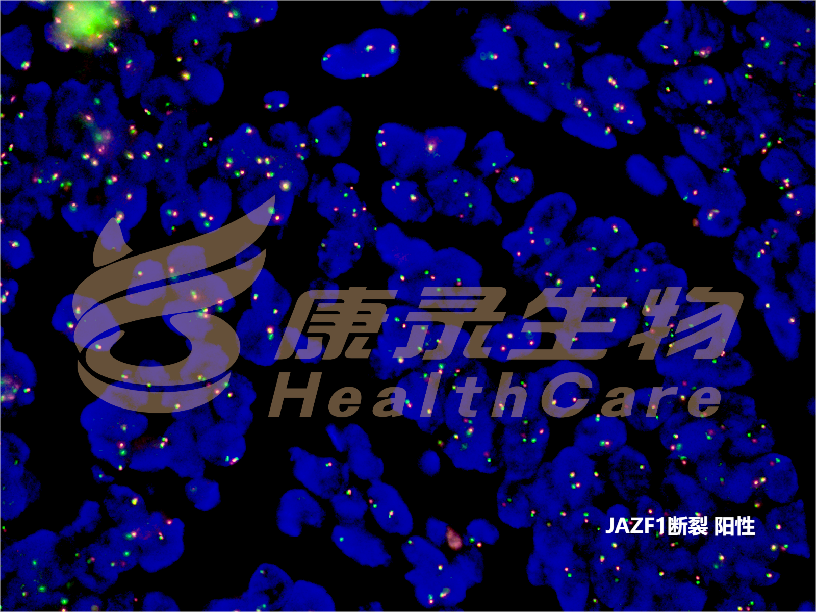 中国·拉斯维加斯(3499·官方认证)网站-Officialwebsite