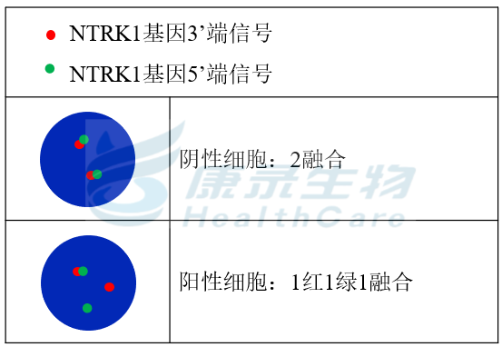 中国·拉斯维加斯(3499·官方认证)网站-Officialwebsite