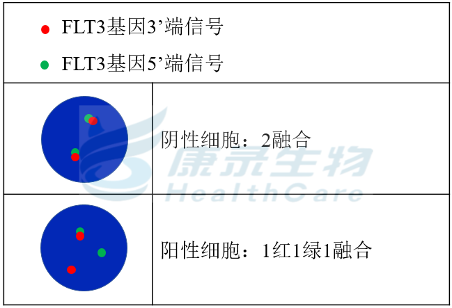 中国·拉斯维加斯(3499·官方认证)网站-Officialwebsite