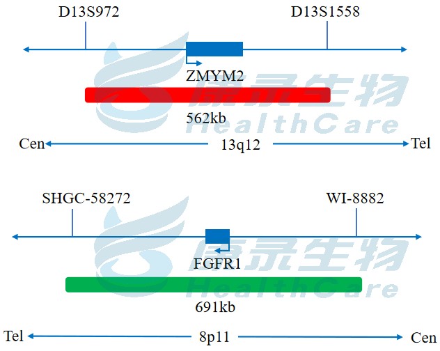中国·拉斯维加斯(3499·官方认证)网站-Officialwebsite