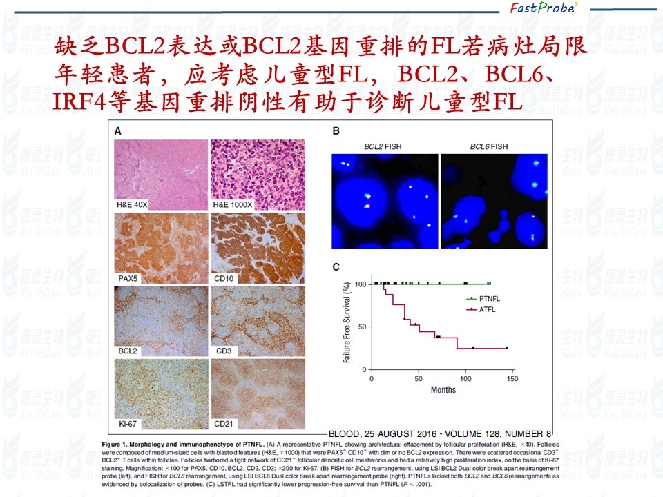 20190318165431-5 幻灯片6.JPG